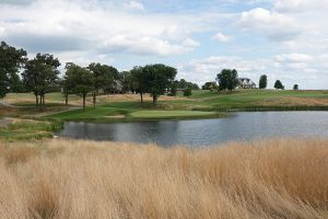 Harvester 3rd Fescue